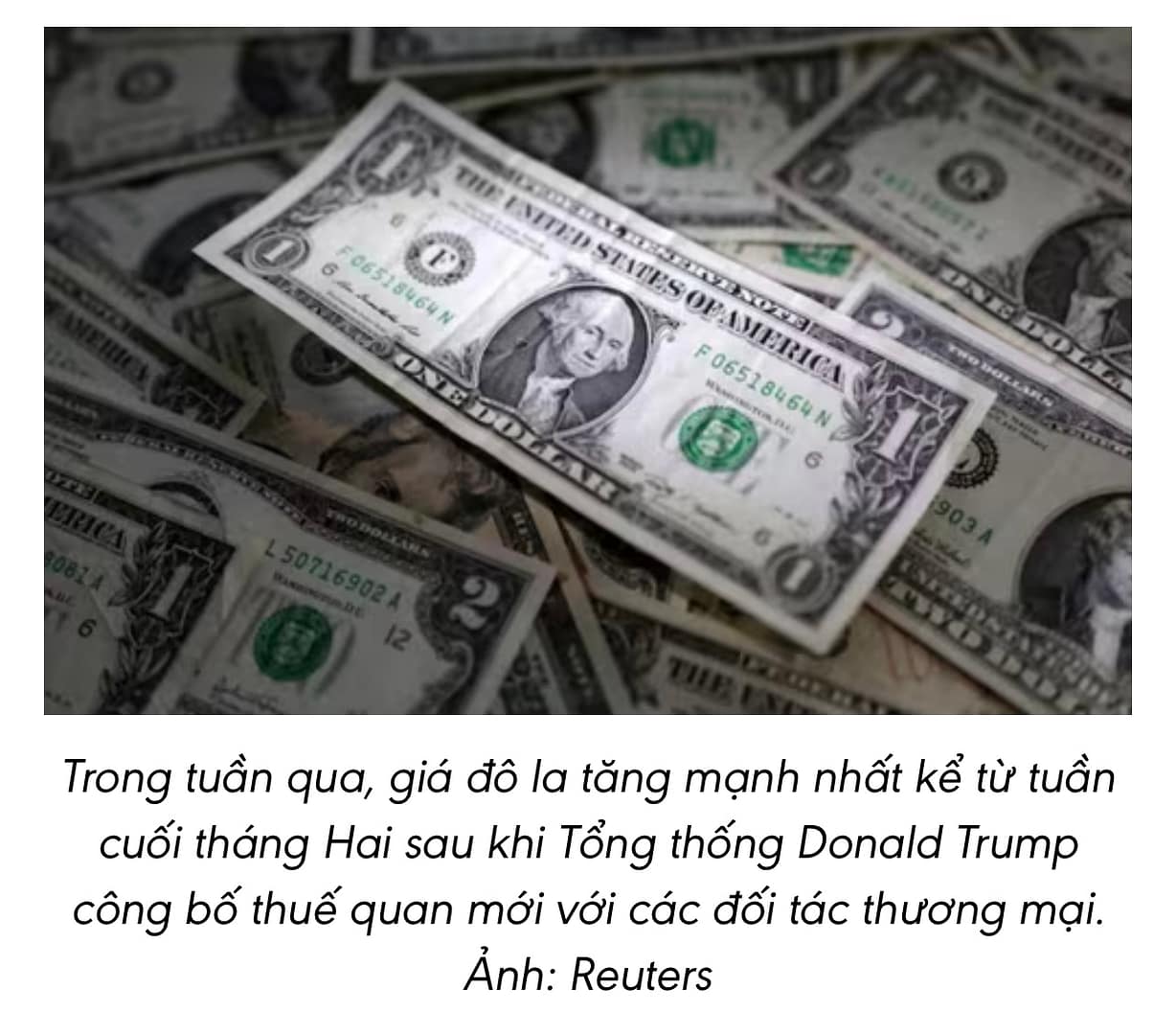 💵 Đồng USD có tuần tăng mạnh nhất trong hơn 4 tháng