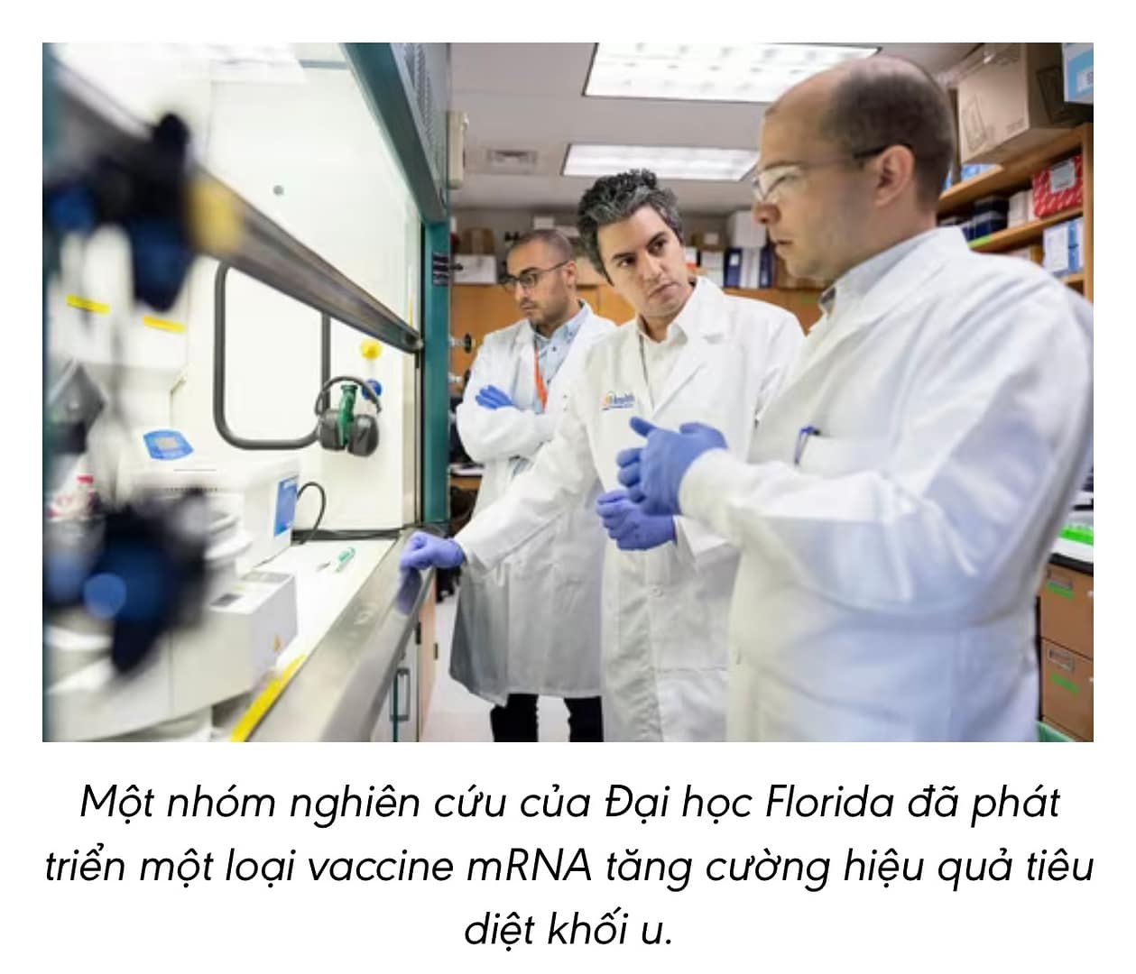 💉 Nghiên cứu vaccine mRNA kích hoạt miễn dịch… “đánh thức” khối u