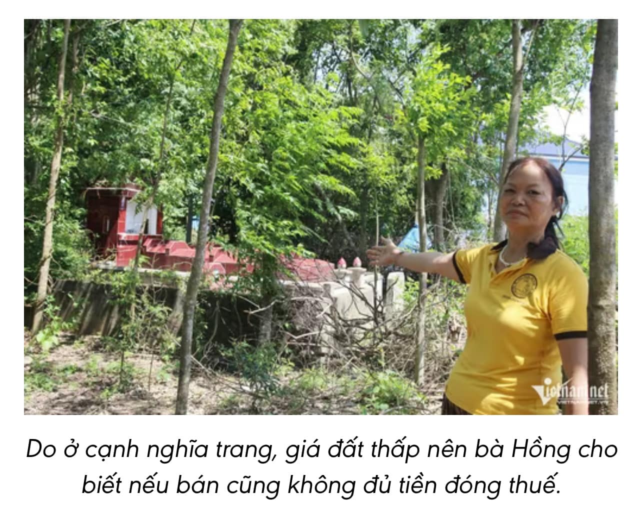 Chuyển đổi 300m² đất vườn sang đất ở, người dân sốc khi phải nộp gần 4,5 tỷ đồng tiền thuế