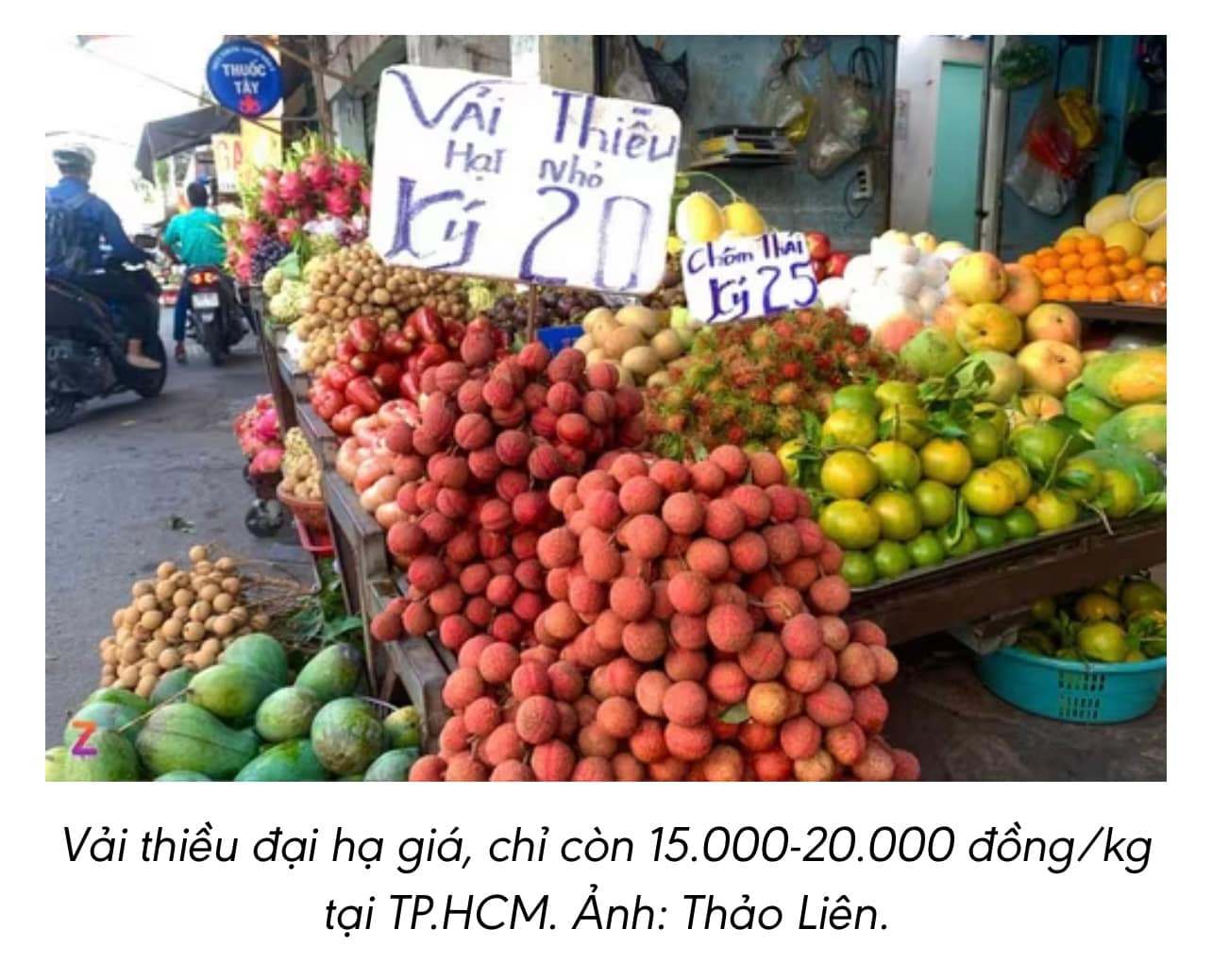  Sầu riêng, vải thiều… giá “bốc đáy” – Rẻ chưa từng có