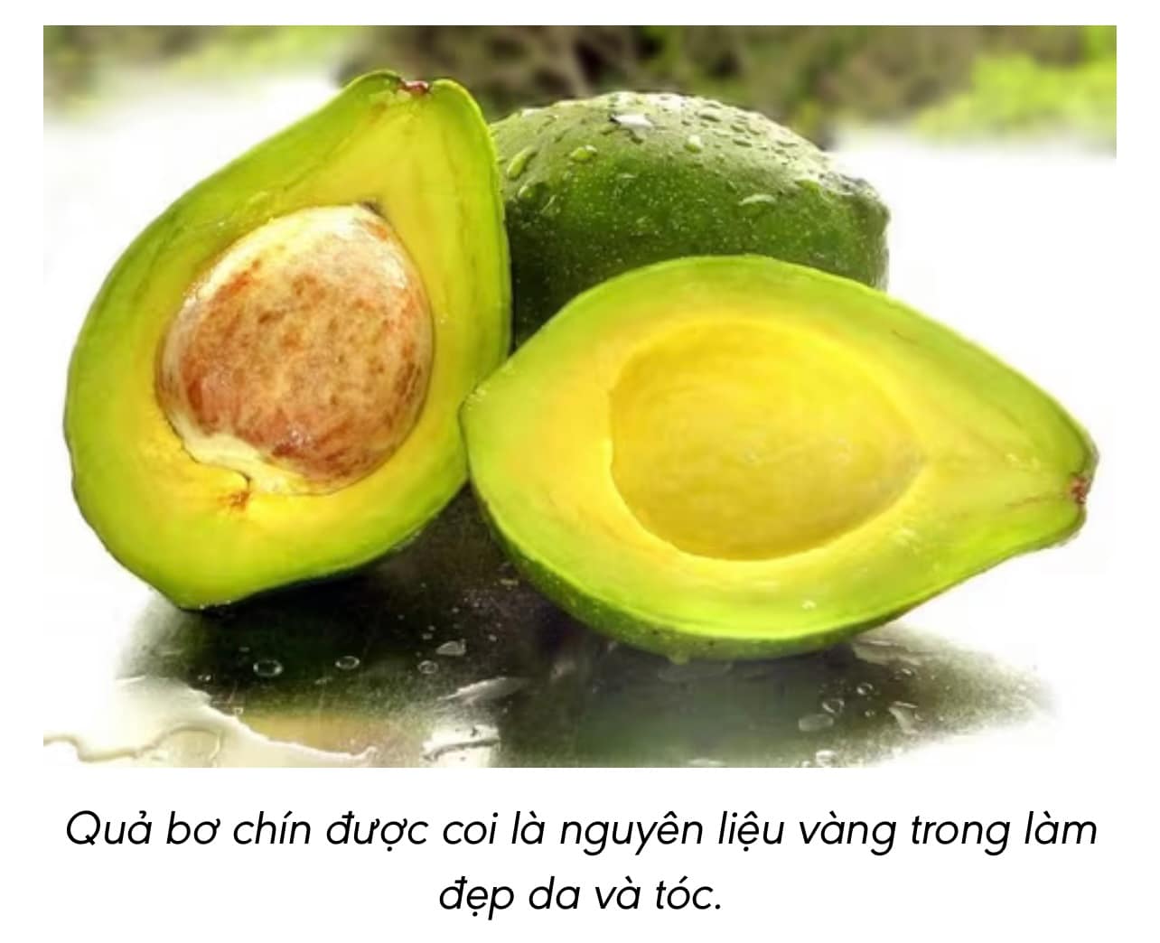 🥑 Bơ – “Thần dược” cho da mịn và tóc khỏe từ bên trong