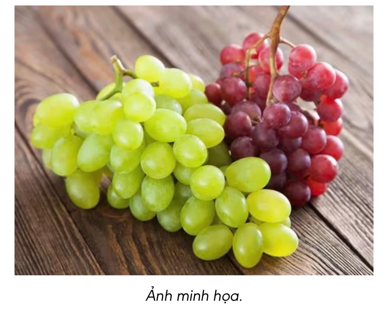 🍇 Ba loại quả dân dã, rẻ tiền nhưng “bổ như sâm” — Ăn là mát người