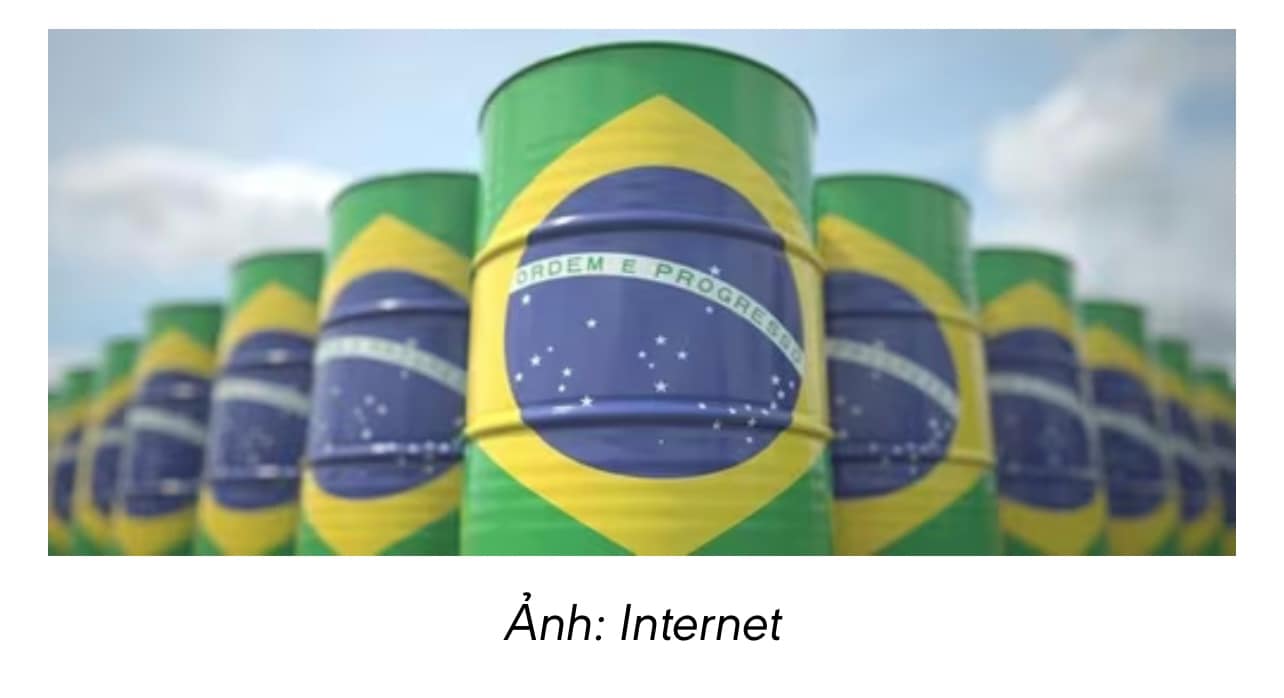 🛢️ Mỹ đe dọa áp thuế 50% lên dầu mỏ và hàng hóa nhập khẩu từ Brazil
