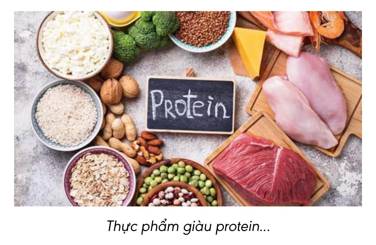 🧬 Vì sao protein giúp cơ thể “trẻ mãi không già”?