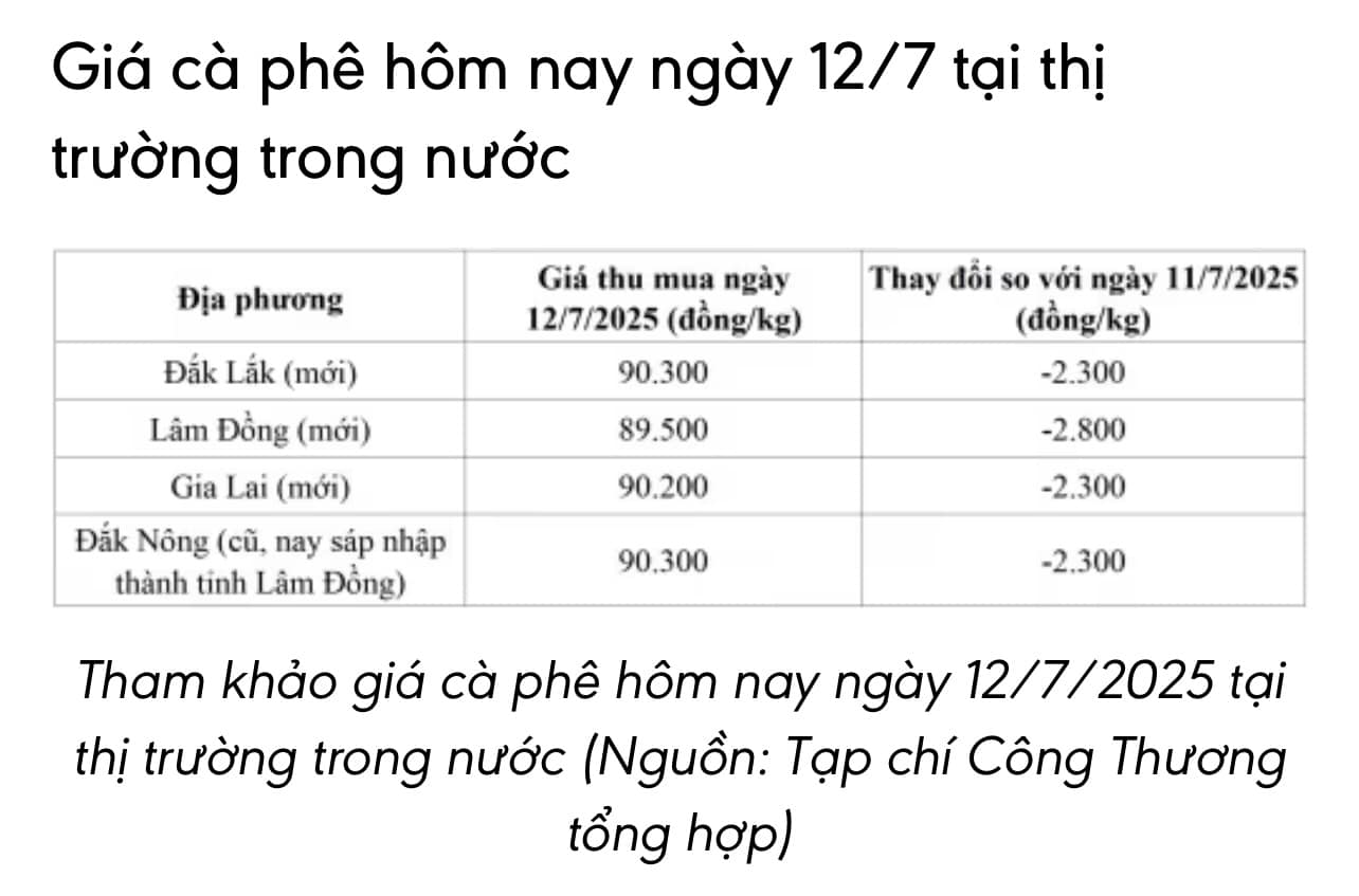 ☕ Giá cà phê hôm nay (12/7/2025): Giảm sâu, chạm đáy hơn một năm