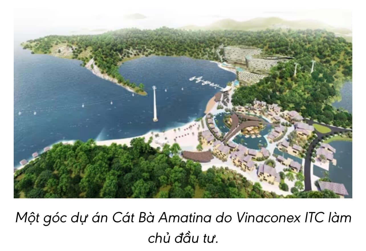 🏝️ Tổng quan dự án Cát Bà Amatina