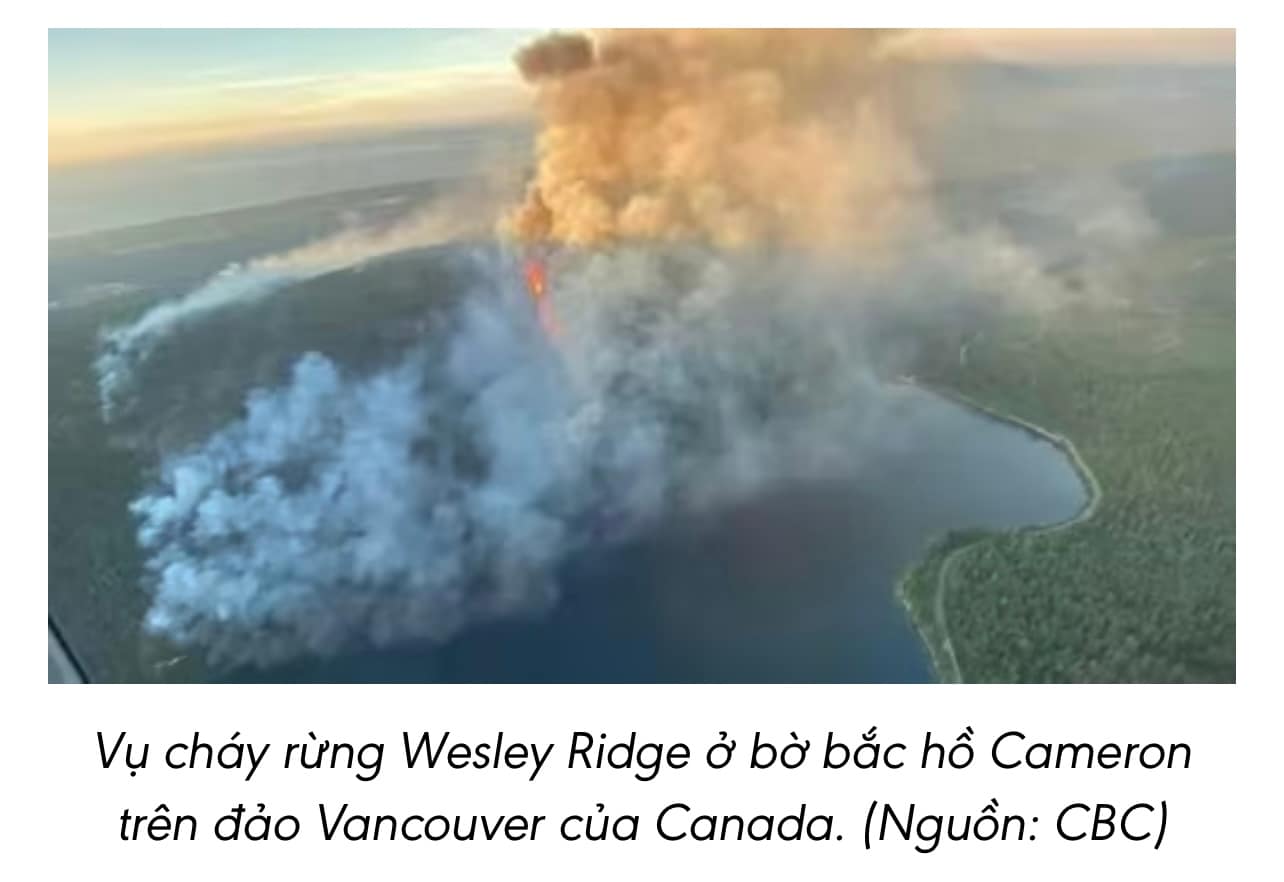🌲 Hơn 670 đám cháy rừng ở Canada khiến Mỹ ban bố cảnh báo ô nhiễm không khí