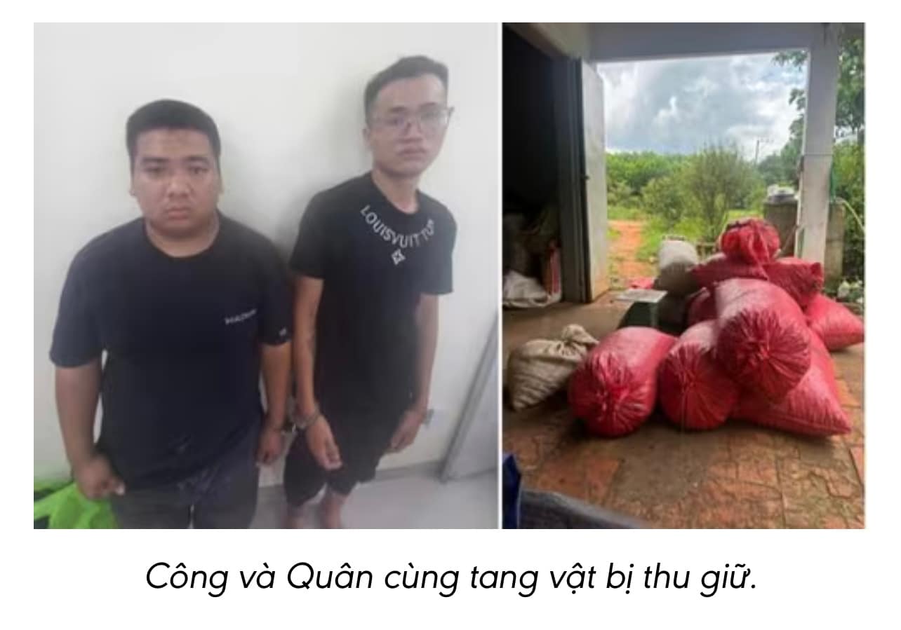 🧑‍🌾 Hai “đạo chích” đột nhập kho, cuỗm 4 tấn hạt điều khô