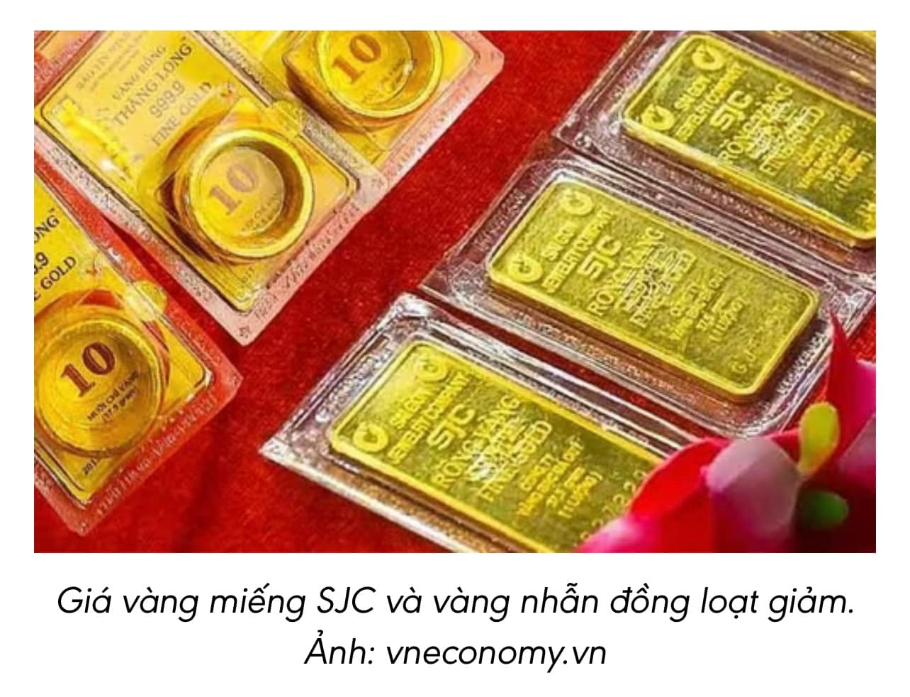 Giá vàng hôm nay (28-6): Vàng miếng SJC và vàng nhẫn đồng loạt giảm giá